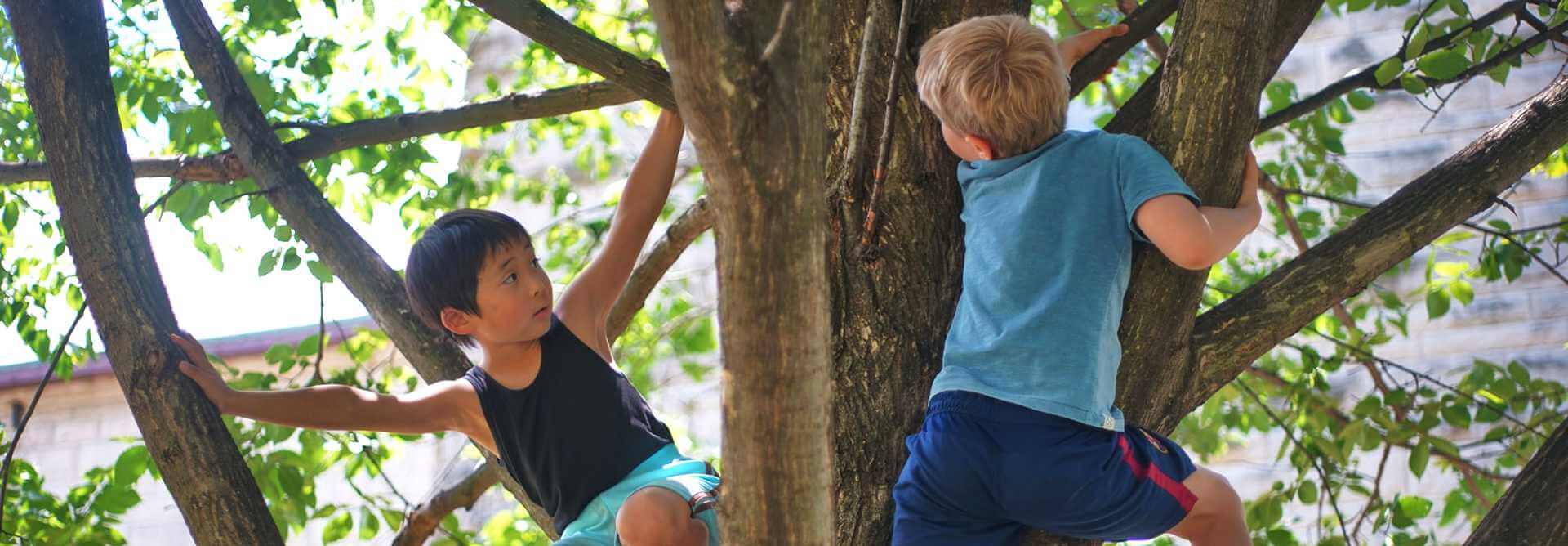Kids climbing in a tree