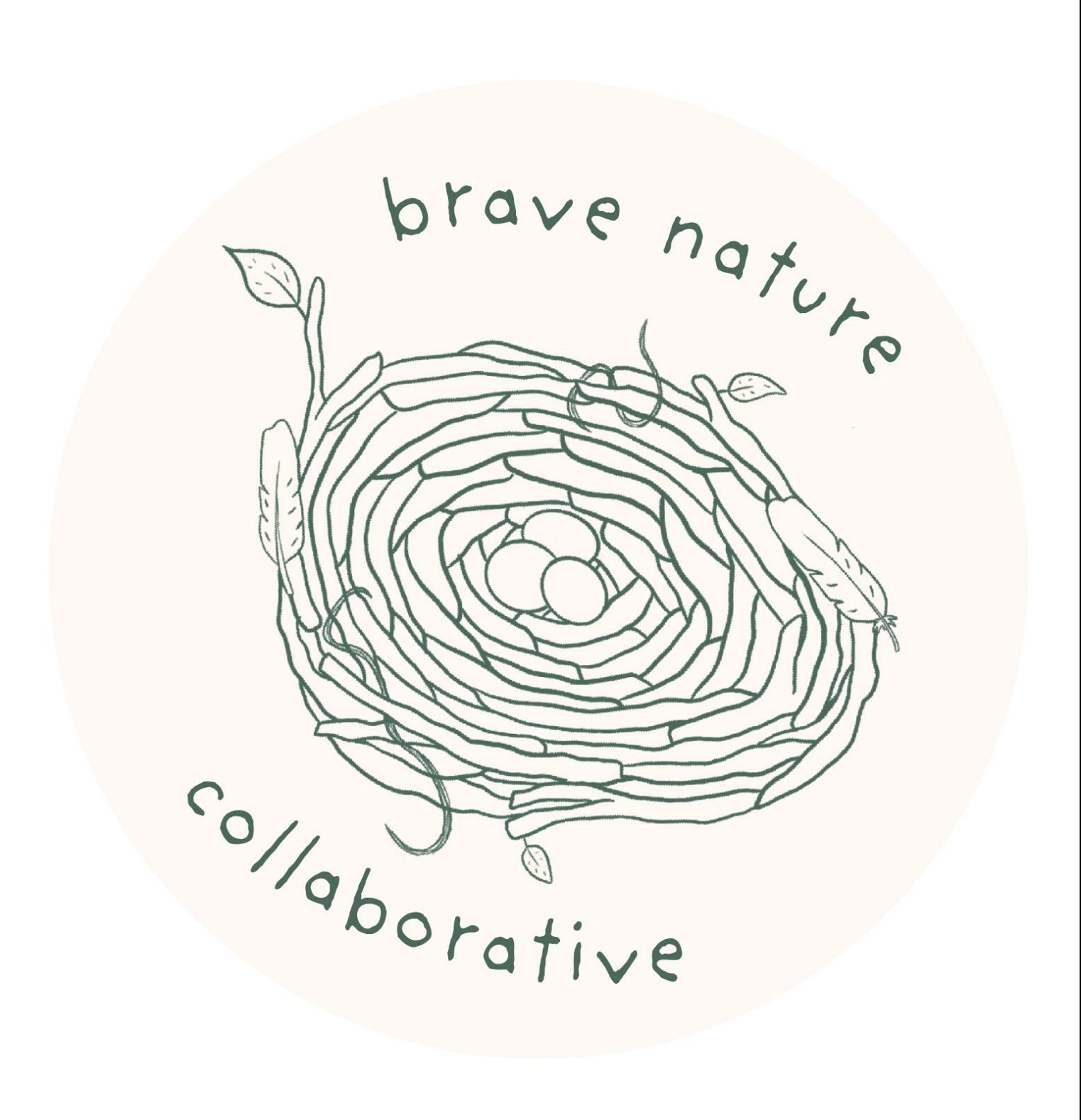 Brave Nature School logo