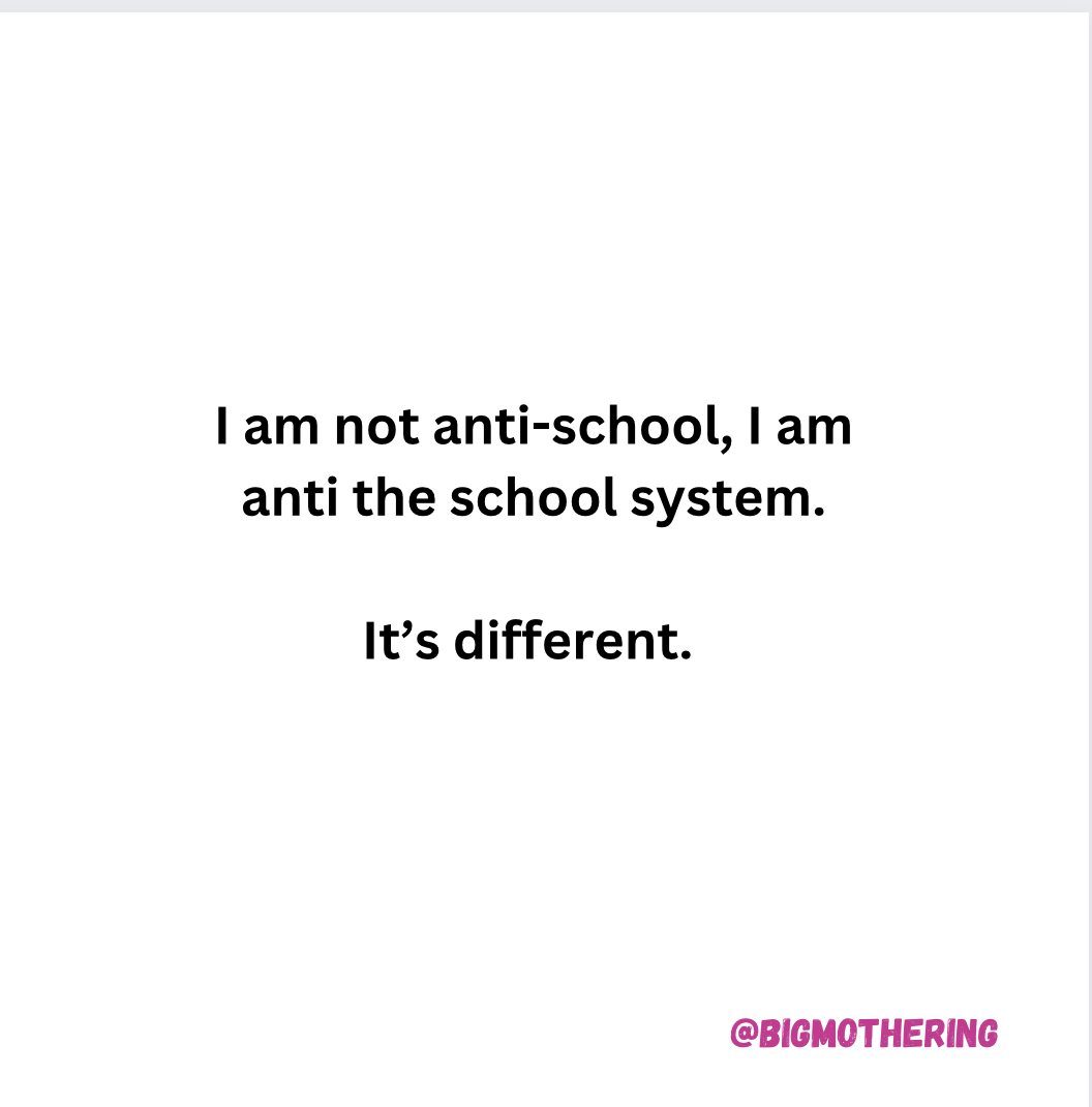 I am not anti-school, I am anti the school system.