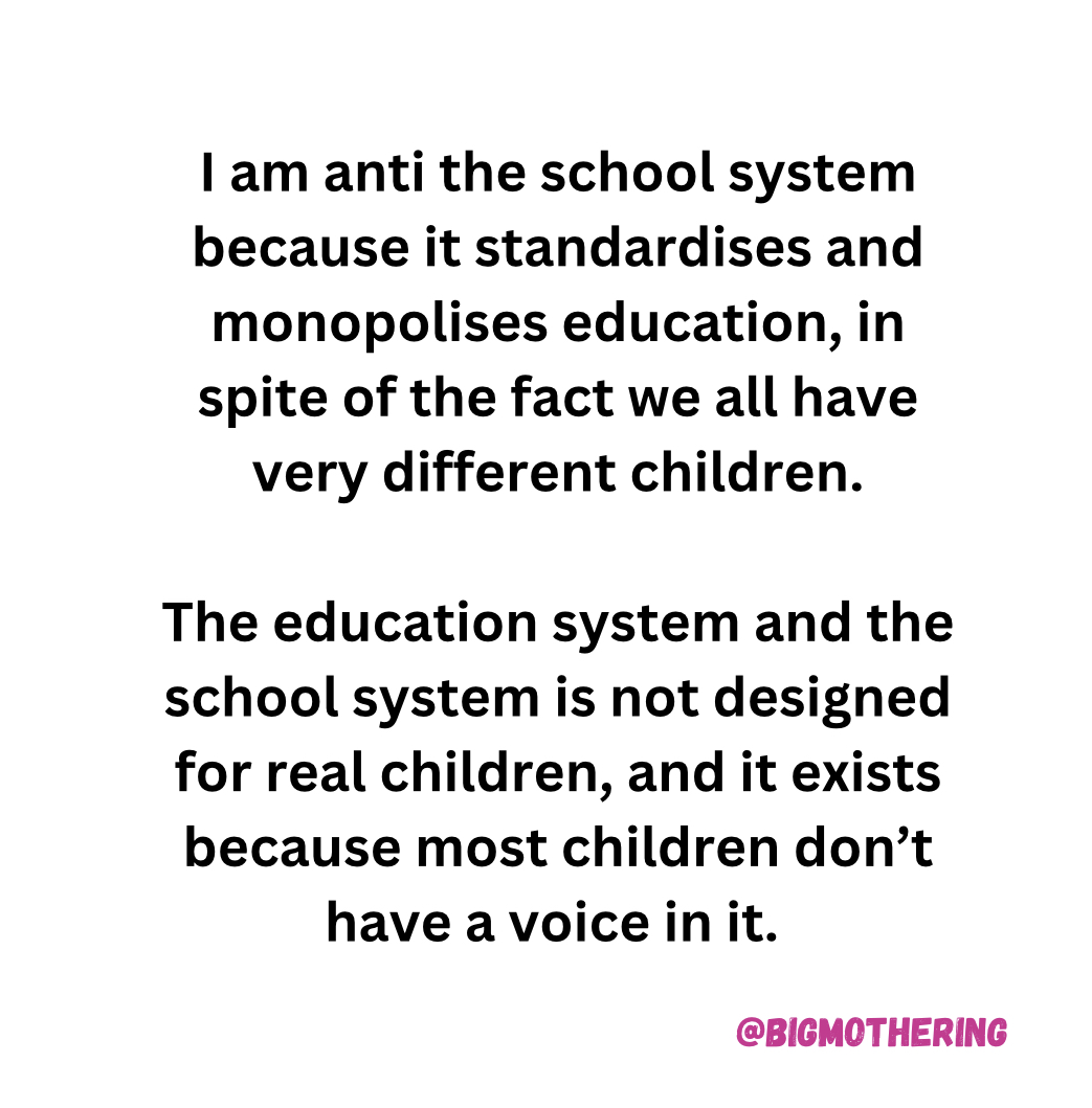 I am anti the school system because it standardises and monopolises education, in spite of the fact we all have very different children. The education system and the school system is not designed for real children, and it exists because most children don't have a voice in it.