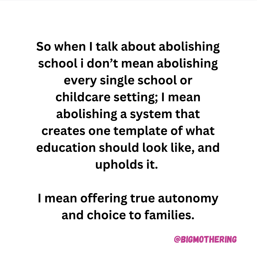 So when I talk about abolishing school i don't mean abolishing every single school or childcare setting; I mean abolishing a system that creates one template of what education should look like, and upholds it. I mean offering true autonomy and choice to families.