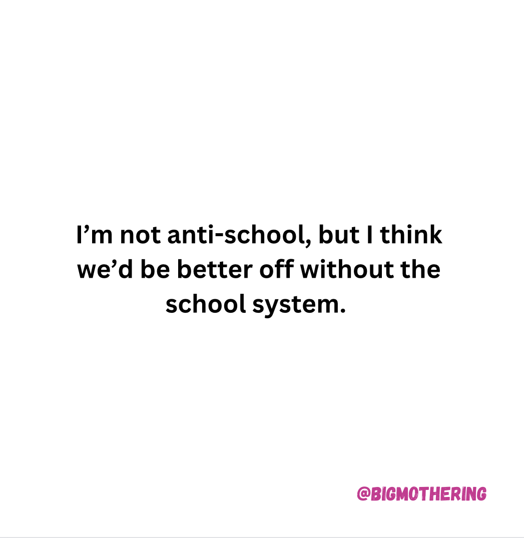 I'm not anti-schoo, but I think we'd be better off without the school system.