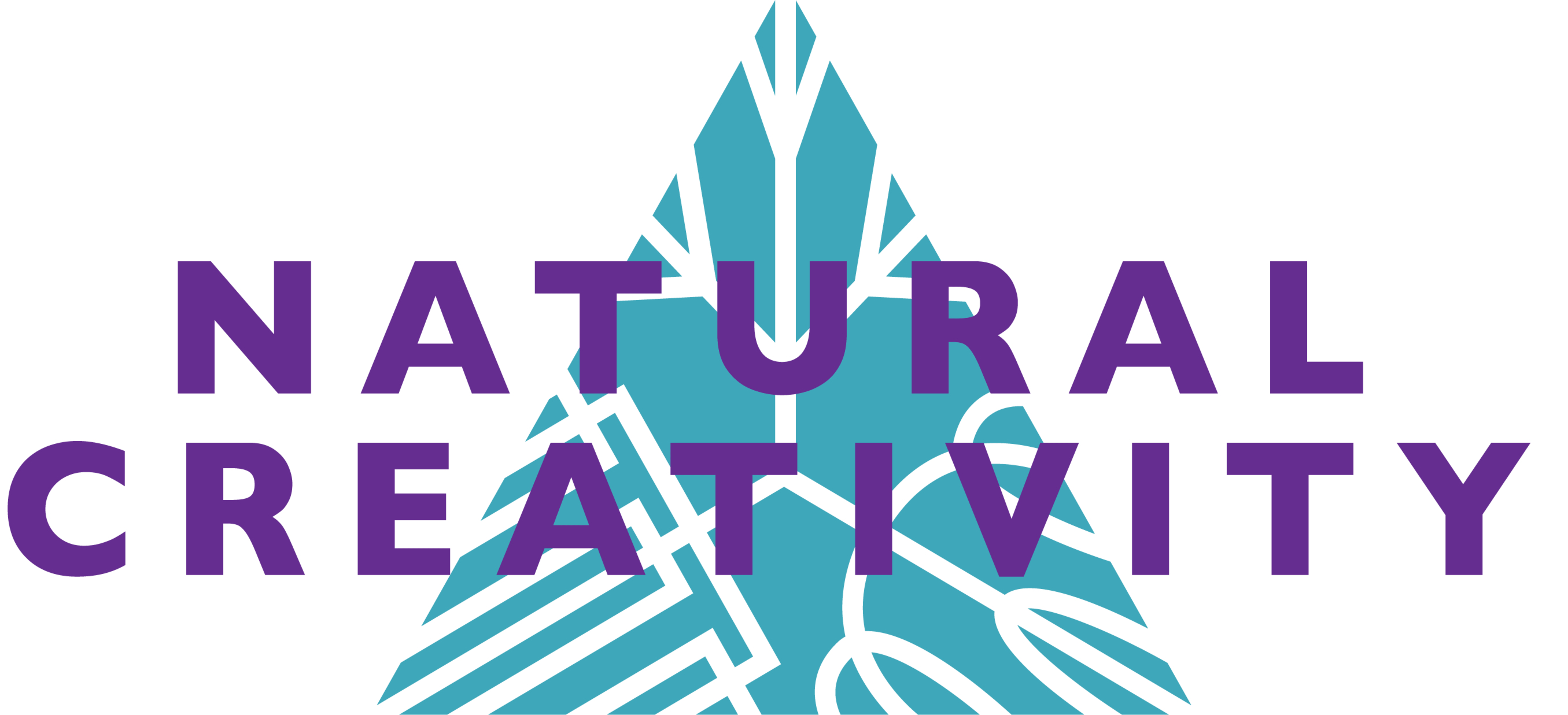 Natural Creativity Center logo