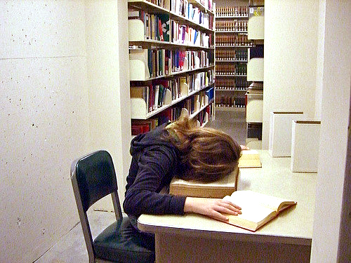 head on desk reading